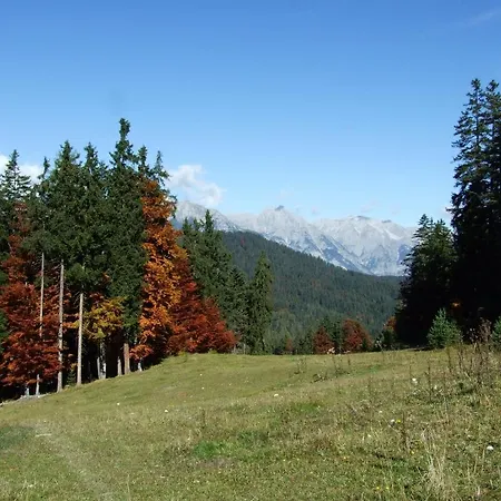 Menthof فندق