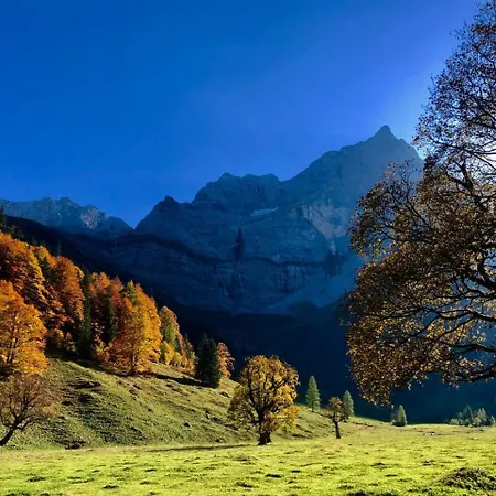 Отель Menthof 3*