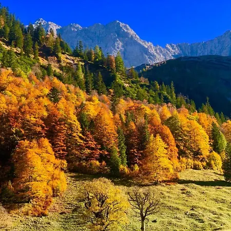 Отель Menthof Зеефельд в Тироле