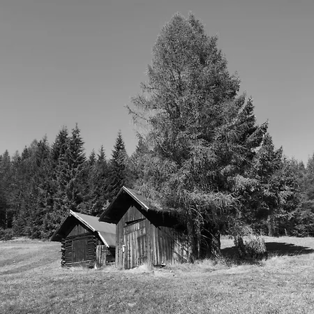Hotel Menthof Seefeld in Tirol