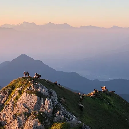 Hotel Menthof Seefeld in Tirol