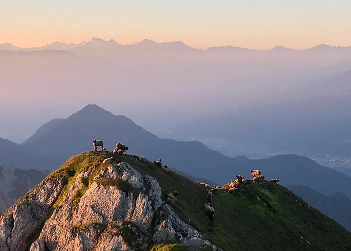 Hotel Menthof Seefeld in Tirol